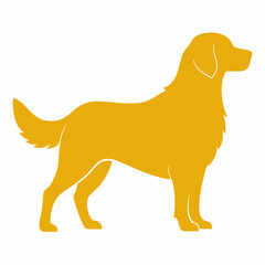 golden retriever dog vector illustration