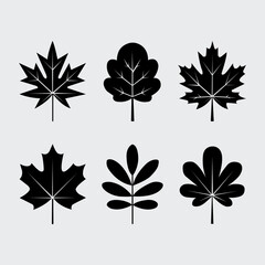 Obraz premium Vector set of decorative leaf silhouettes.