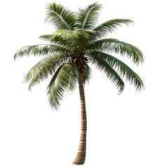 Solitary palm tree casting shadows on a dark backdrop of simulated night