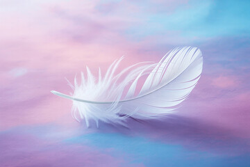 Obraz premium white feather on blue background