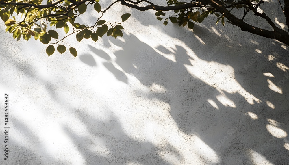 Poster light and shadow patterns cast by leaves on a light wall.