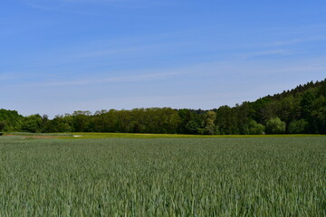 Schöne Landschaft bei Heroldsberg in Franken