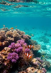 Fototapeta premium A stunning view of a vibrant coral reef teeming with clownfish and other marine species.