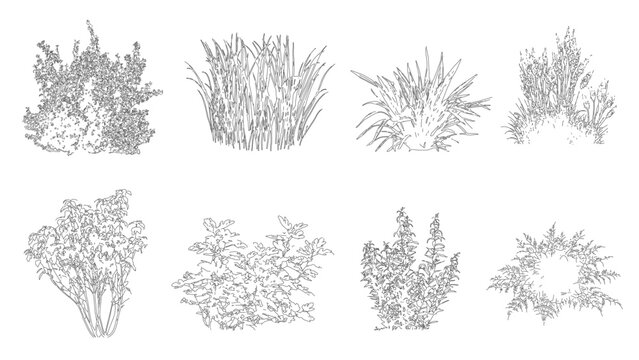 set of shrubs line cad, minimal isolated on white background. Ground cover. Illustration for elevation architectural element, side view, grass section. Turf coating banners for edging