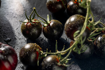 Fresh dew kissed heirloom tomatoes on textured surface
