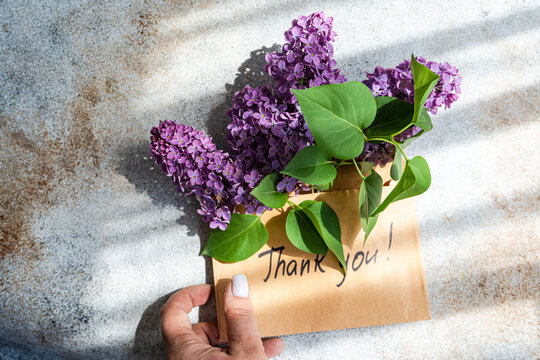 Hand holding card with lilacs and thank you message