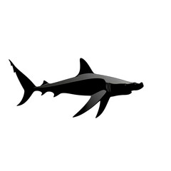 Majestic Shark Silhouette Dark Ocean Mystery Elegant Minimalist Design on transparent background