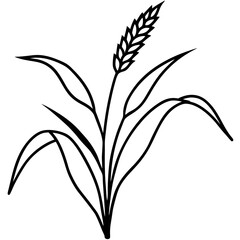 Simple black and white wheat illustration with leaves on transparent background