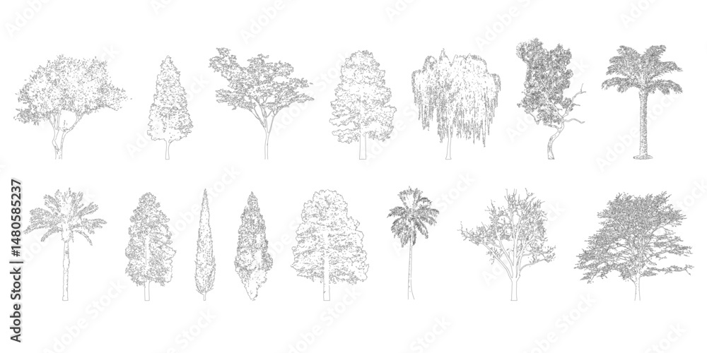 Poster Minimal style cad tree line drawing, Side view, set of graphics trees elements outline symbol for architecture and landscape design drawing. Vector illustration in stroke fill in white. Tropical, oak