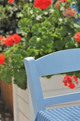 hydrangea red flowers in Greek restaurant pavement patio