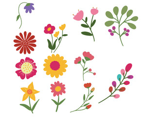 A collection of bright, colorful flowers set on a white background, showcasing their natural beauty
