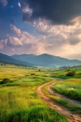 Scenic Dirt Road Winding Through Green Meadow Leading to Distant Mountains Under Cloudy Sky in Rural Landscape