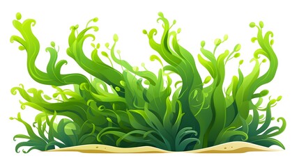 Colorful Cartoon Seaweed Vector Illustration for Isolated Backgrounds