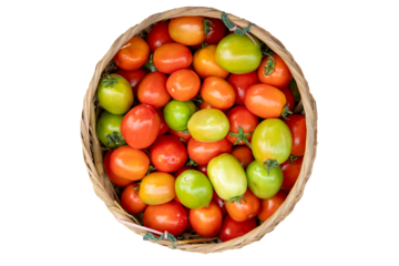 Colorful tomatoes in a basket isolated on white background, top view