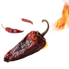 red hot chili pepper