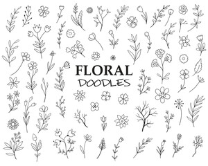Flowers vector set. Flower isolated sign. Floral branch and minimalist leaves for logo or tattoo
