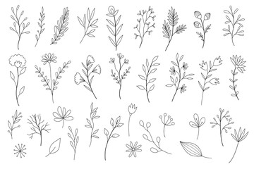 Fototapeta premium Hand drawn flower and branches doodle