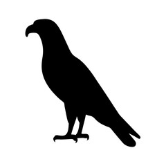 Silhouette of a Proud Hawk Standing Tall and Ready for Flight