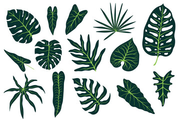 Set of floral elements and silhouettes of tropical leaves, ornamental patterns. Handmade drawing