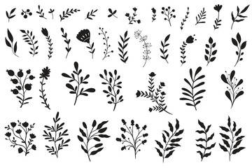Vector set botanical illustration. Leaves and flowers set icons.