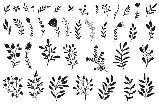 Vector set botanical illustration. Leaves and flowers set icons.