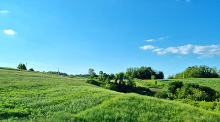 A serene, expansive view from Gornje Psarjevo looking east showcases rolling green meadows and scattered trees under a vast blue sky with wispy clouds