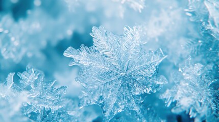 Close-Up of Light Blue Snowflakes
