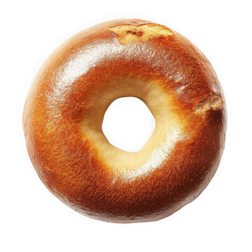 Close up view of a baked plain bagel on transparent background
