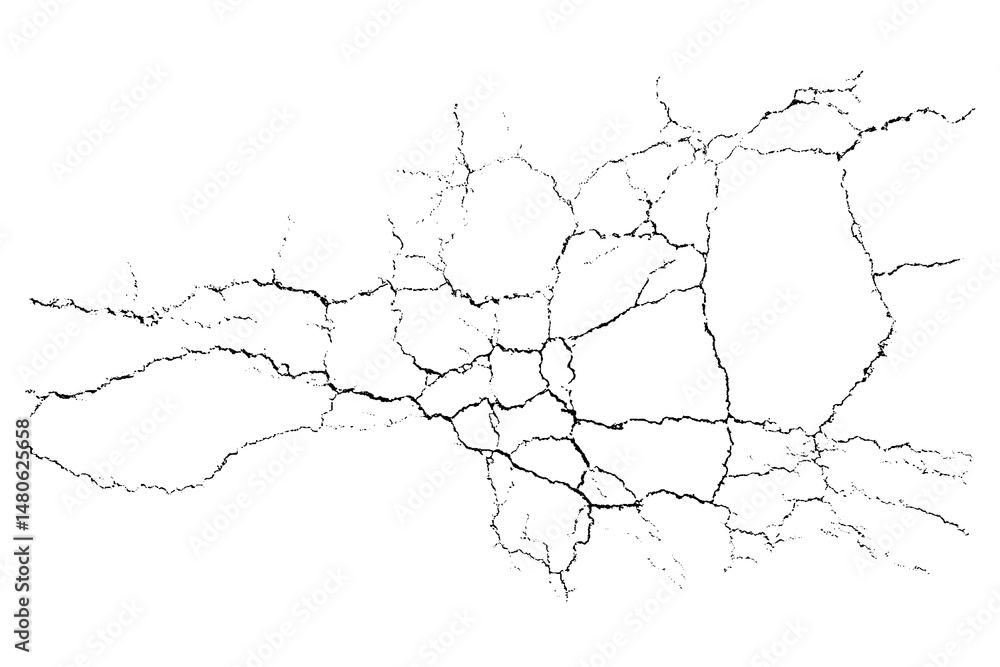 Poster vector overlay abstract texture. natural complex crack element on white background. organic grunge o