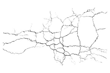 Vector overlay abstract texture. Natural complex crack element on white background. Organic grunge one color surface.