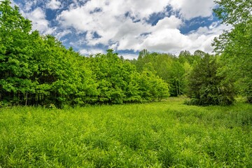 Tessentee Bottomland Preserve - Franklin, NC