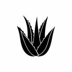 creative details Outline silhouette Aloe vera icon vector illustration 