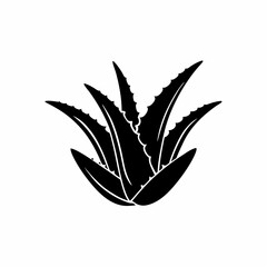 creative details Outline silhouette Aloe vera icon vector illustration 