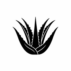 creative details Outline silhouette Aloe vera icon vector illustration 