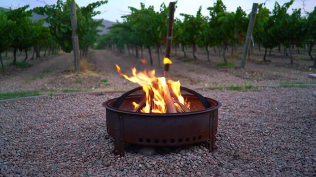 Vineyard Relaxation By Bonfire Flames In Open Air