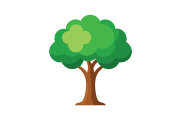 green tree isolated on white