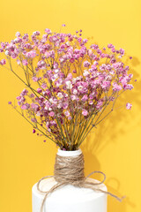 Close up of a pink gypsophila	