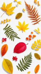 Autumnal Flat Lay of Colorful Leaves and Berries on White Backdrop Studio Shot Seasonal Fall