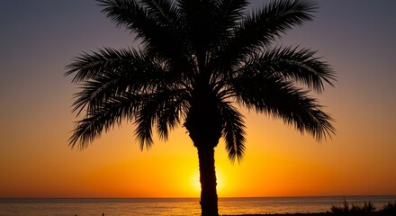 Obraz premium Silhouette Palm Tree at Sunset Beach