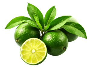 Lime with mint green transparent background