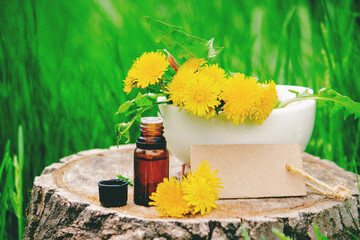 Essential oil or extract of dandelion on a wooden stump. Nature © Anna