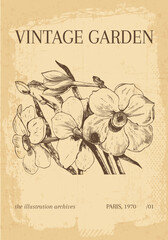 Vintage Botanical Garden poster vector illustration wall art print floral art print 
