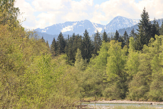 Fr&uuml;hling an der Isar bei Lenggries mit Zotenjoch (1885) und Demeljoch (1923)