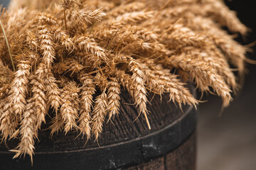 Beautiful dry ears of wheat in an old wooden barrel, close up