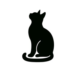 black cat isolated on white