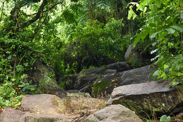 Ancient Footpaths at the Maligatenna (Maligathanna) Raja Maha Viharaya, Gampaha, Sri Lanka.