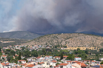 Thick smoke from a wildfire rises behind a residential area, illustrating the growing risk of natural disasters and urban vulnerability due to climate change