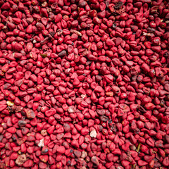 Annatto grains, Urucum background, texture