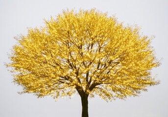 Golden tree with dense leaves on white background