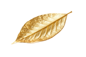 PNG Elegant gold leaf on black background highlighting texture and shine